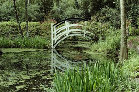 黑龍江自考考試之前需要做什么準(zhǔn)備？