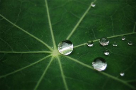 黑龍江自考經(jīng)濟(jì)學(xué)類專業(yè)的考生的就業(yè)方向有哪些?