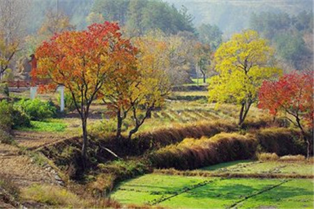 黑龍江自考應(yīng)該如何復(fù)習(xí)，有沒(méi)有好的方法?