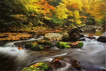 黑龍江自考專業(yè)課選擇是否重要?