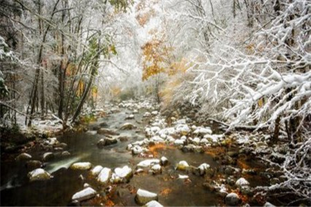 　黑龍江自考中的長(zhǎng)線自考和短線自考有什么不同?