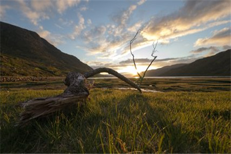 黑龍江自考本科如何進(jìn)行畢業(yè)申請?