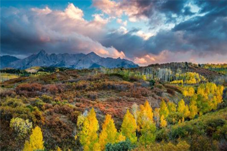 黑龍江自考本科生考研注意事項(xiàng)有哪些?