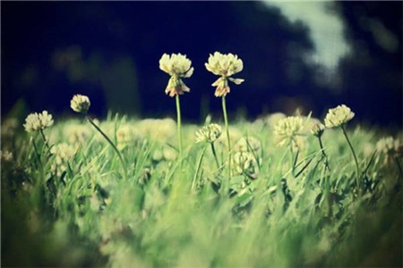 黑龍江自考答題注意事項