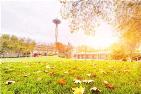 黑龍江自考考生不小心丟失了畢業(yè)證怎么辦?