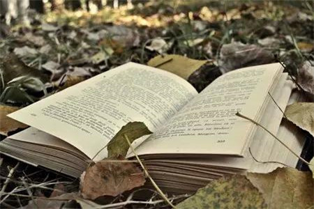 黑龍江自考實踐課怎么考？