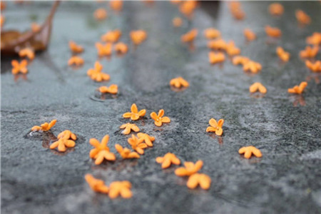 黑龍江自考幾年內(nèi)考完有效？